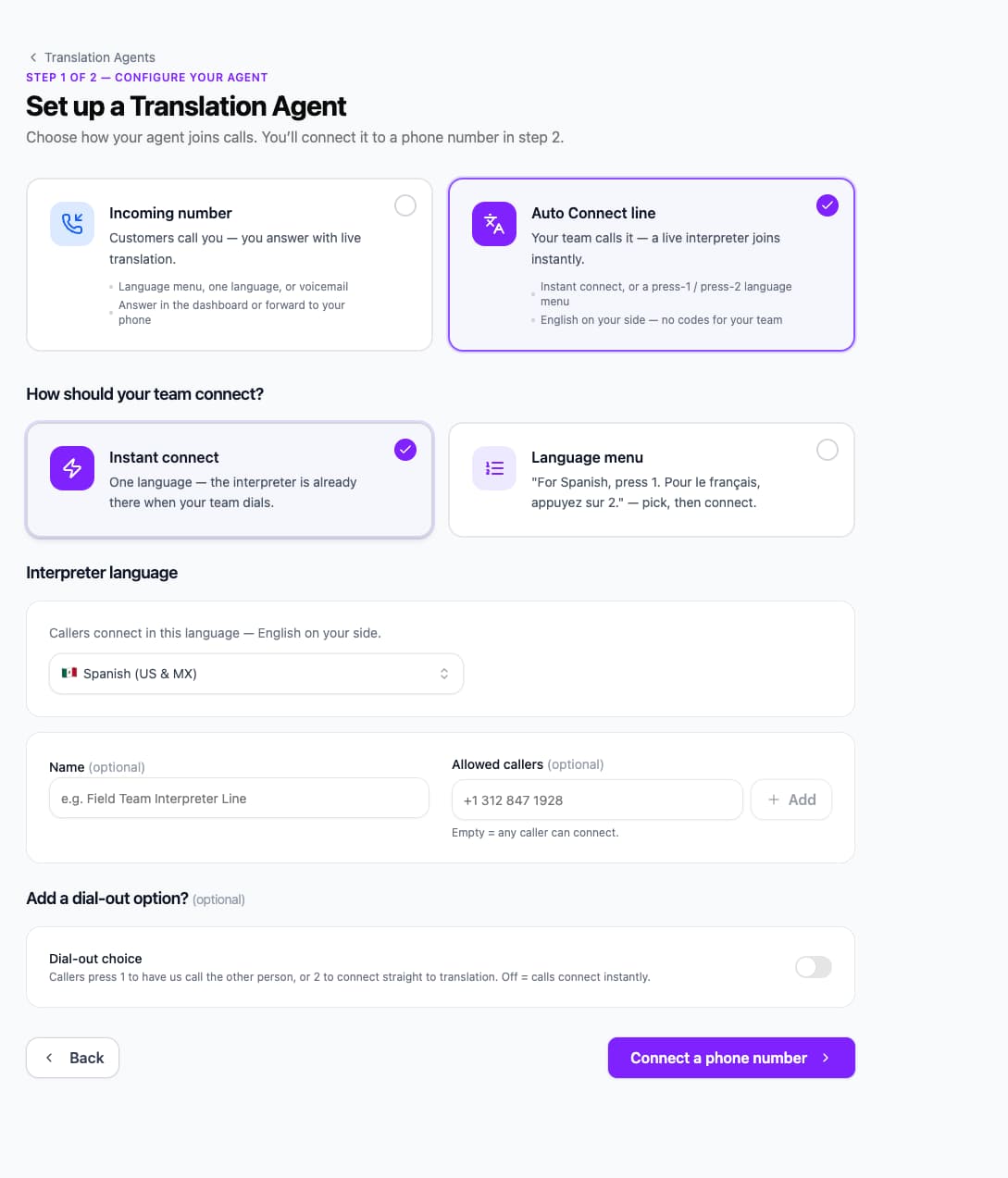 Auto Connect line selected in the agent setup wizard
